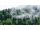  Modische Schreibtischschutzmatte 120x60 Wald im Nebel