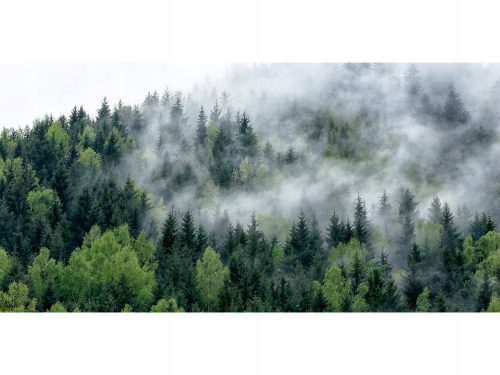  Modische Schreibtischschutzmatte 120x60 Wald im Nebel
