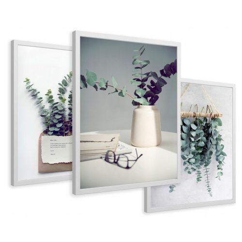 Bilder an der Wand Bilder im Rahmen Eukalyptusblätter Triptychon 43x99