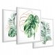 Bilder an der Wand Gerahmte Bilder, Monsterablätter, Palme, Gold, 43x99