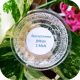  Plant Paradise Entonem 2 Millionen Präparat gegen Bodenmücken und Mücken