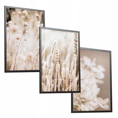 3er Set Poster 50x70 cm "Gräser" – Ideal für Wohn- und Schlafzimmer
