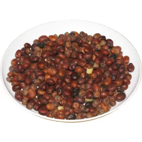 Geputzte Saubohnen 25 kg