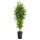 Künstliche Blumen und Früchte Künstliche Baumblumen Feigenbaum 170 cm