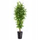 Künstliche Blumen und Früchte Künstliche Baumblumen Feigenbaum 170 cm