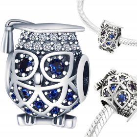  CHARMS Eule Weisheit Wissenschaft Wissen s925 E-CHARMS