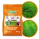  Green Oro Stickstoffdüngergranulat 10 kg 10 l