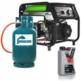 Tragbarer einphasiger Stromgenerator Barracuda 2800 W Gas