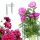  GardenPlus Metall-Pflanzenstützen 60 cm, 3 Stk