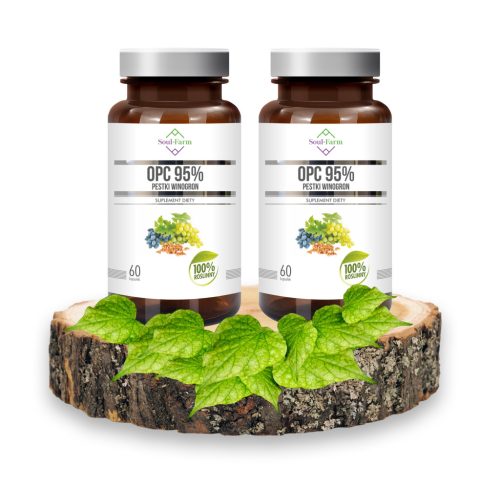 Weintraubenkernextrakt 95% OPC (450mg) - 120 Kapseln, 2-Pack