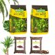 Gartenerde ERDSUBSTRAT FÜR PALM JUK DRACEN 10L+ LCA 2L
