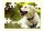  Fotopuzzle mit eigenem Aufdruck 28,5x40,5cm 192 Teile