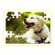  Fotopuzzle mit eigenem Aufdruck 28,5x40,5cm 192 Teile