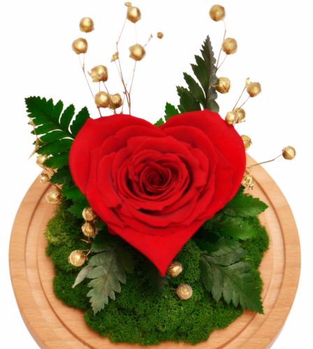 Blumen und Blumenkästen zum Valentinstag Ewige Rose im Glas, Farn und Moos – ROTER Wald