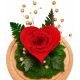 Blumen und Blumenkästen zum Valentinstag Ewige Rose im Glas, Farn und Moos – ROTER Wald