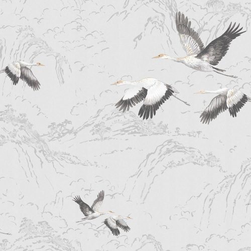 GRAUE NICHT-FELD-TAPETENKRANICH IM FLUG, VÖGEL