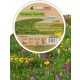  Dahlia zinnia Scarlet Flame red 1 g PNOS
