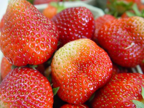  Erdbeer-Erdbeer-SEEDINGS SUPER PACKAGE Obst 5M