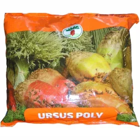  RÜBENSAMEN NAHRUNGSMITTELRÜBEN URSUS POLY C/1 1KG