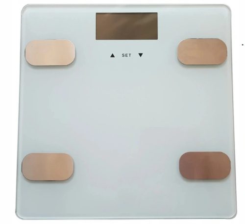 Personenwaagen (intelligent, analytisch und mechanisch) Hoffen Analytische Personenwaage