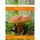  Myzel gelbes Myzel 60 ml