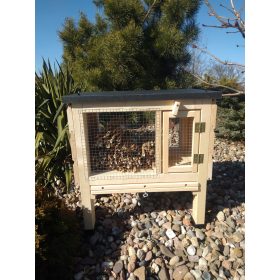  UL Muraka Biene auf Schilf