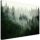 Bilder an der Wand Bild auf Leinwand, Nebelwald Natur 120x80 120x8