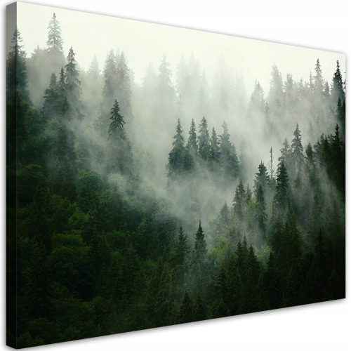 Bilder an der Wand Bild auf Leinwand, Nebelwald Natur 120x80 120x8