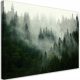 Bilder an der Wand Bild auf Leinwand, Nebelwald Natur 120x80 120x8
