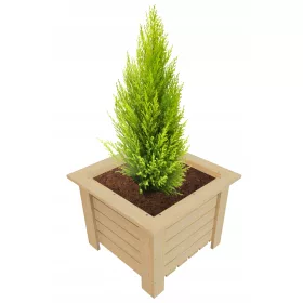  GoodFreshDecor Blumentopf 40 cm x 40 x 30 cm Naturholz