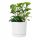  Prosperplast Blumentopf 35 cm x 35 x 32 cm Durchmesser 35 cm Kunststoff weiß