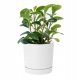  Prosperplast Blumentopf 35 cm x 35 x 32 cm Durchmesser 35 cm Kunststoff weiß