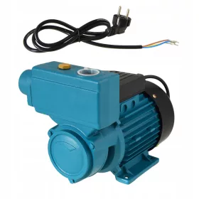  BG-INVEST 750 W 3000 l/h Oberflächenpumpe