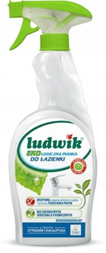  Ludwik Armaturen-Reinigungsschaum 0,75l