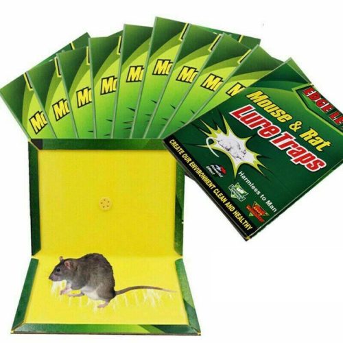  Lep Bedde gegen Mäuse und Ratten