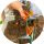 Gartenerde Erde für Strelitzia Premium Dedicated Substrate 13L
