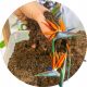 Gartenerde Erde für Strelitzia Premium Dedicated Substrate 13L