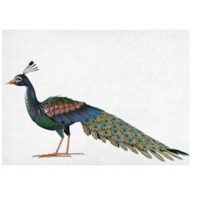  Dekorative Metall-Gartenfigur PFOTE, Höhe 52 cm