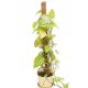  Kokosstange 150 cm 10 Stk.