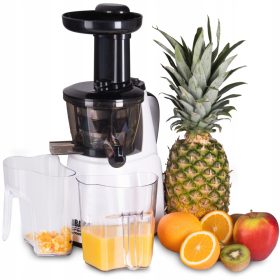  Bass BH10251 250 W vertikaler Slow Juicer