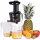  Bass BH10251 250 W vertikaler Slow Juicer