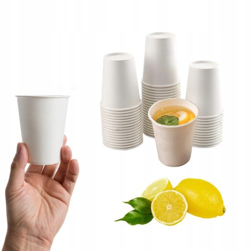 Einweggeschirr Becher Pappbecher 250 ml 100 Stk