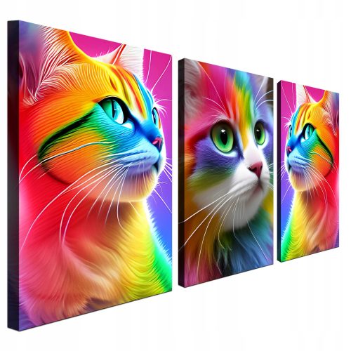 Bilder an der Wand Bild 3-teiliges Triptychon mit bunten Katzen 120x60