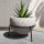 Dekorn Blumentopf 14 cm x 14 x 12 cm Beton