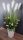 Künstliche Blumen und Früchte Künstliches Pampasgras 120 cm Dekoration weiß hellgrün Blumentopf Auswahl