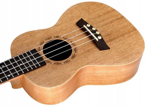 Echo-Konzert-Ukulele