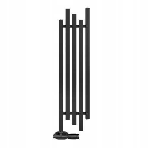  Regnis Wasserbadheizkörper 630 W 300 x 1000 mm schwarz