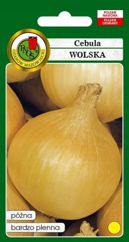  Frühlingszwiebel Wolska II 500g PNOS
