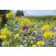 Blumenwiesenhonigmischung 200g