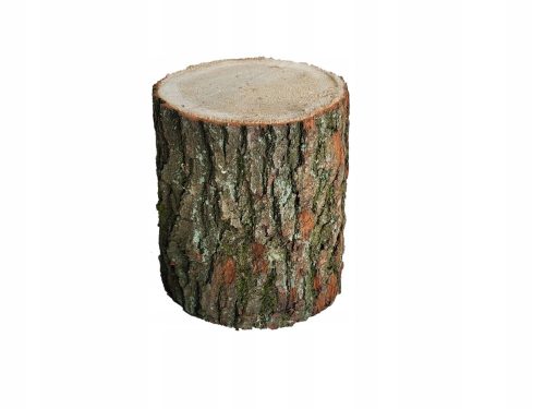  Gartenstumpf Lagerfeuerstumpf EICHE Kratzbaum 25 cm